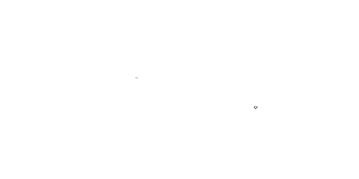 POSADA BW